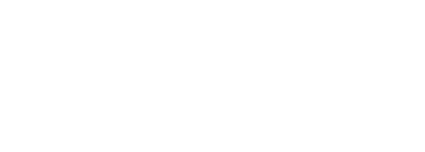 Saalepartie logo